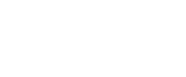 Salt Frame Visuals